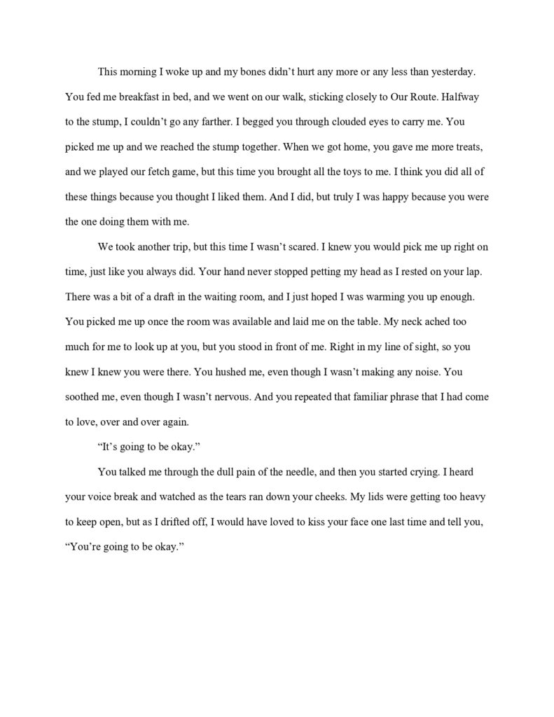 Time is a Thief_page-0004